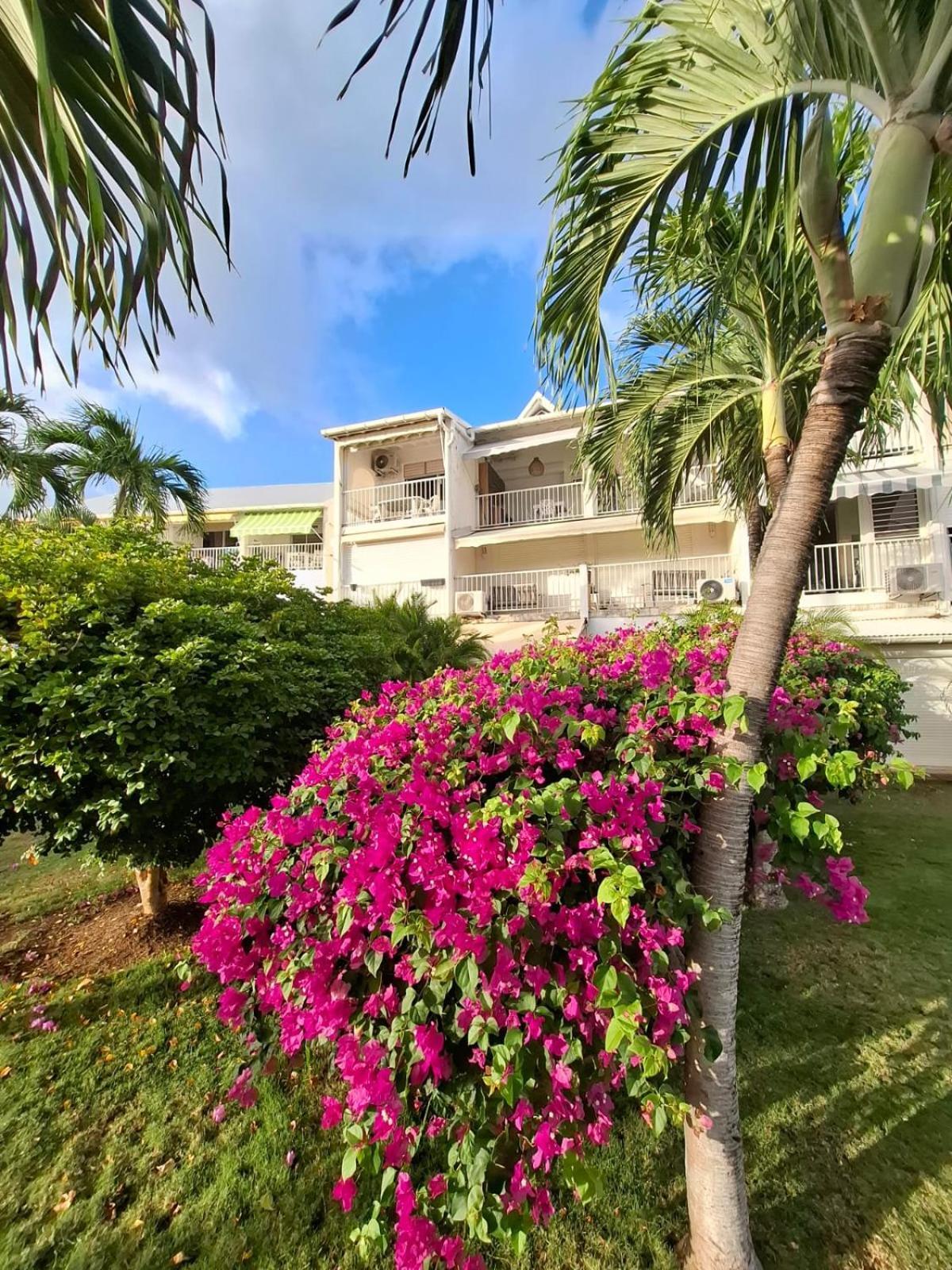 Vue - Marina St François - Le Perroquet Appartement *